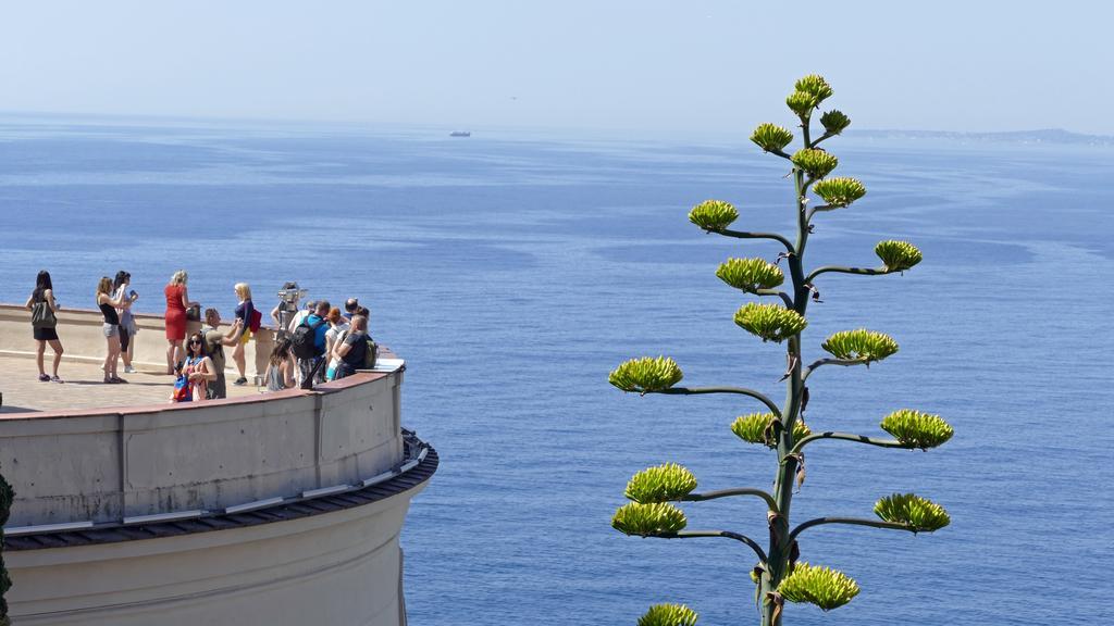 Chambre Chez L'Habitant Nice Baie Des Anges Екстер'єр фото